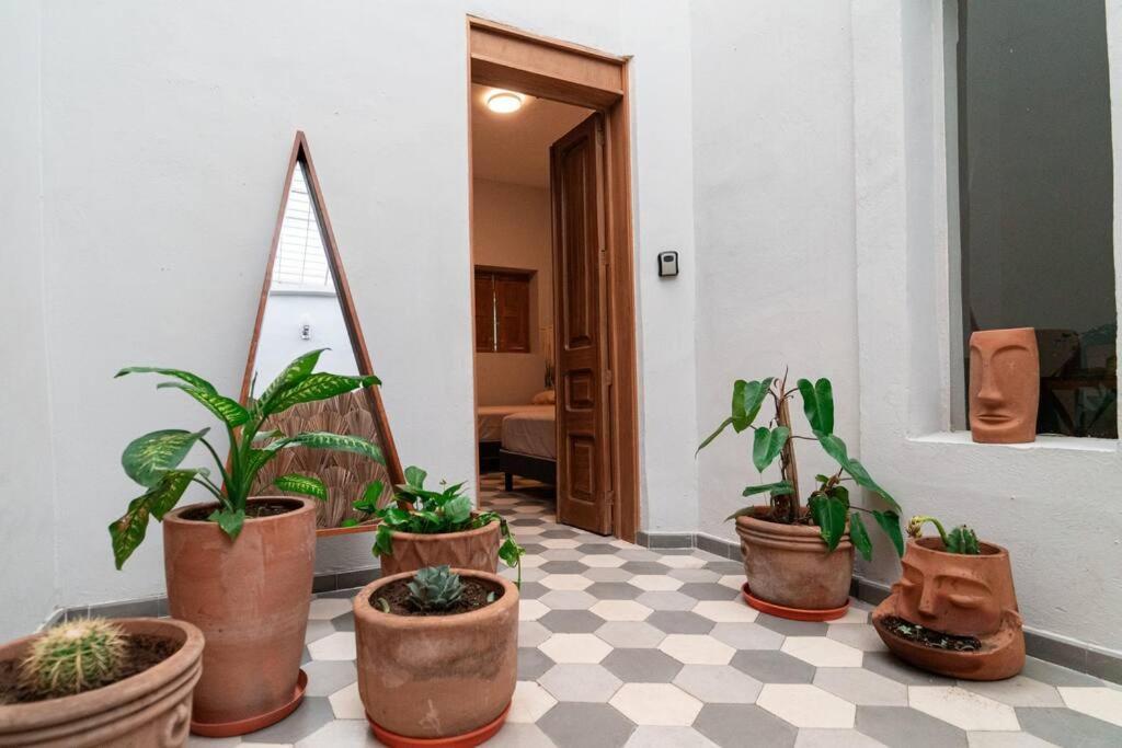 Casa Del Desierto Villa Guadalajara Ngoại thất bức ảnh